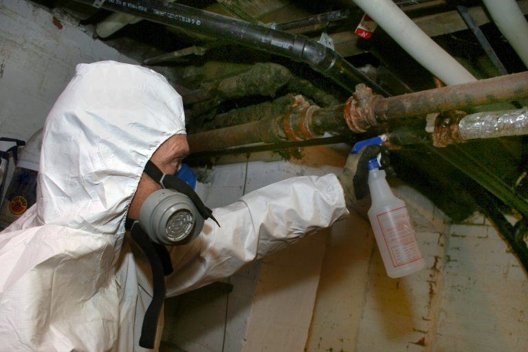 Why Is An Asbestos Survey Essential?