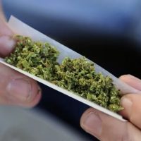 How to Start Deliveries of mail order marijuana at Your Home