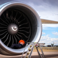 How Airlines Handle In-Flight Pest Problems (Details)