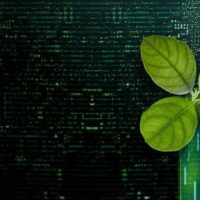 The Difference Between CEX and DEX for Bitcoin Trading