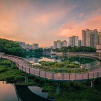 Solano Grand and Wynwood Grand: How Modern ECs Shape Urban Living in Singapore