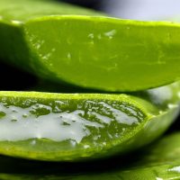 Dr. Paul Carey’s Insights into Oral Health and Overall Wellness