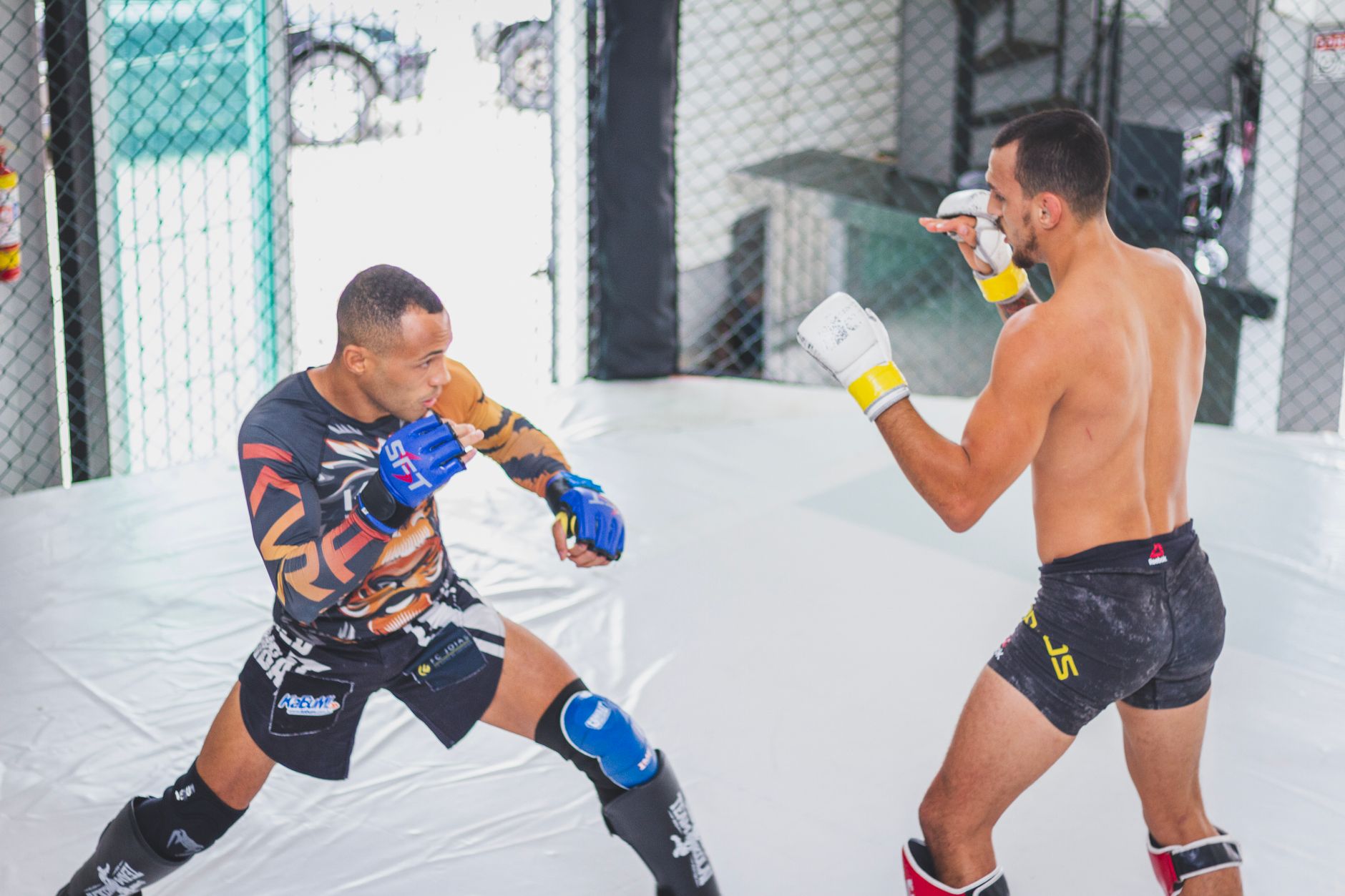 MMA fighters weigh-in meals: Best Proven Nutrition Choices
